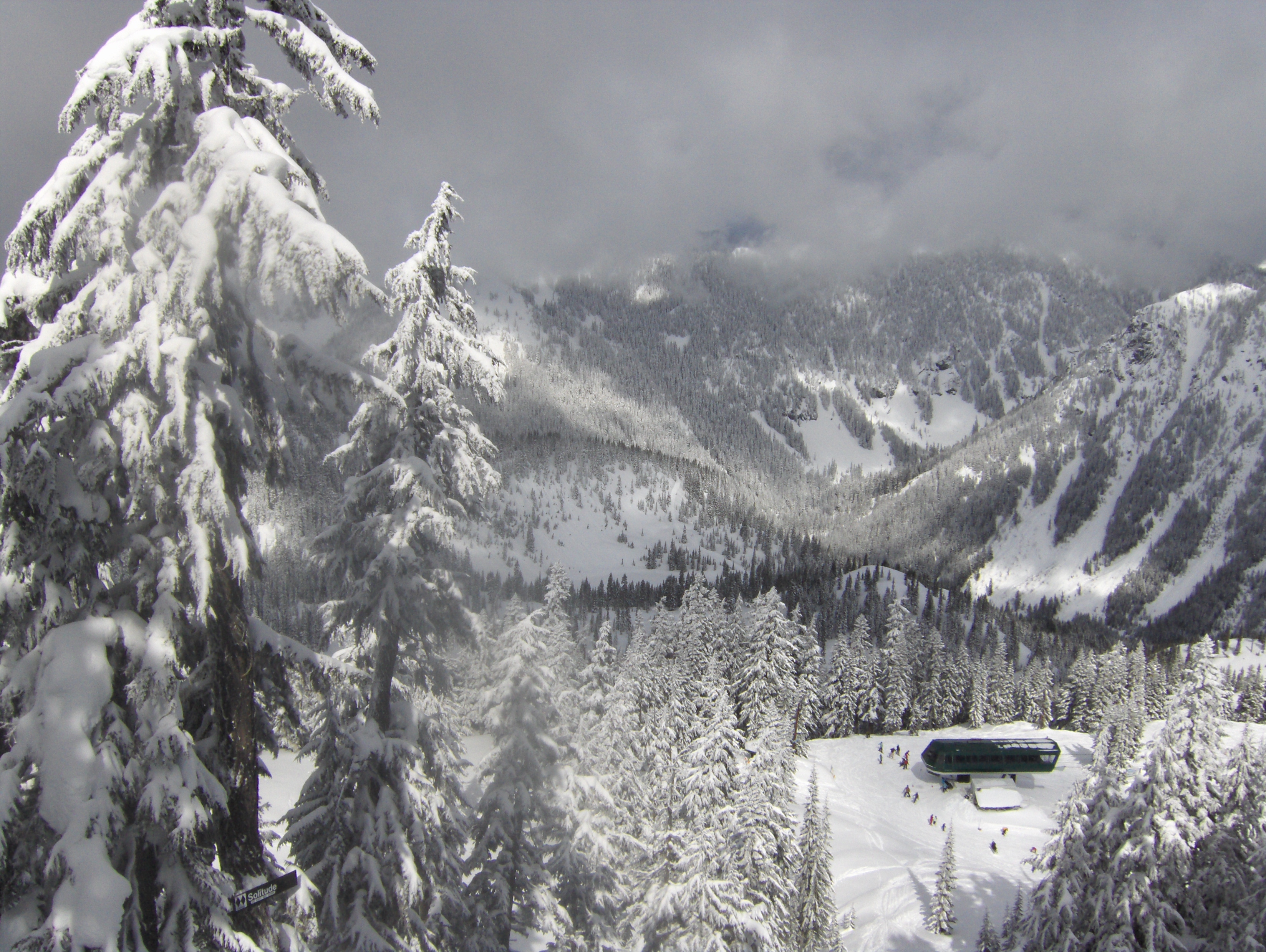 Spring in the Northwest