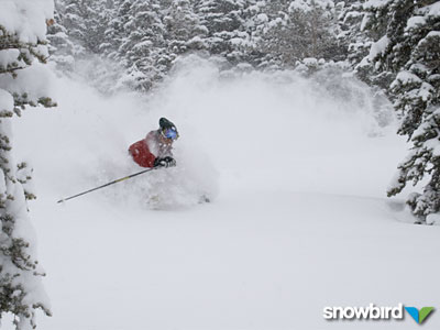 Spring in the wasatch