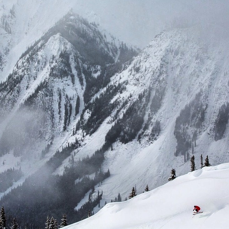 Spring powwww