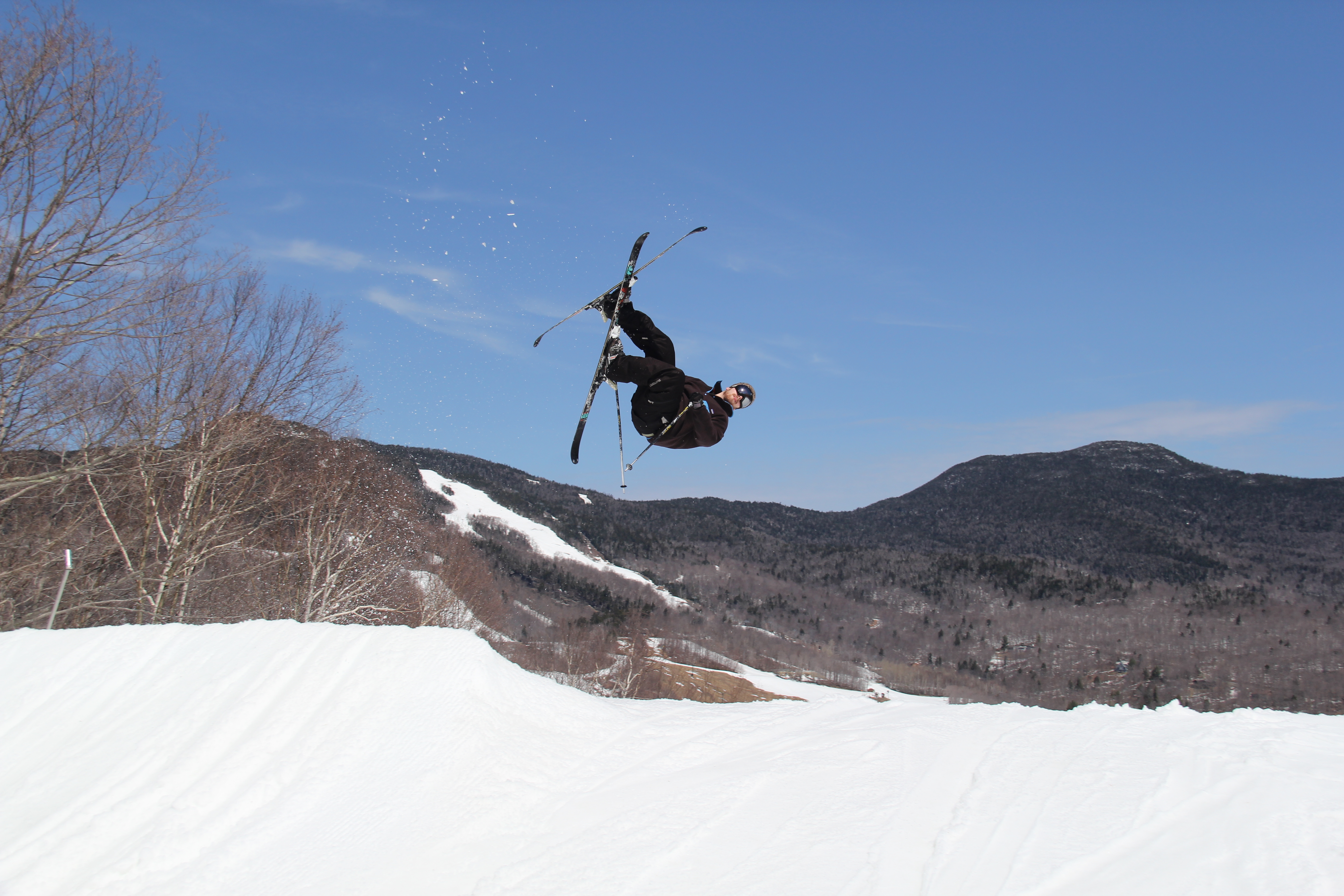 Spring Shred