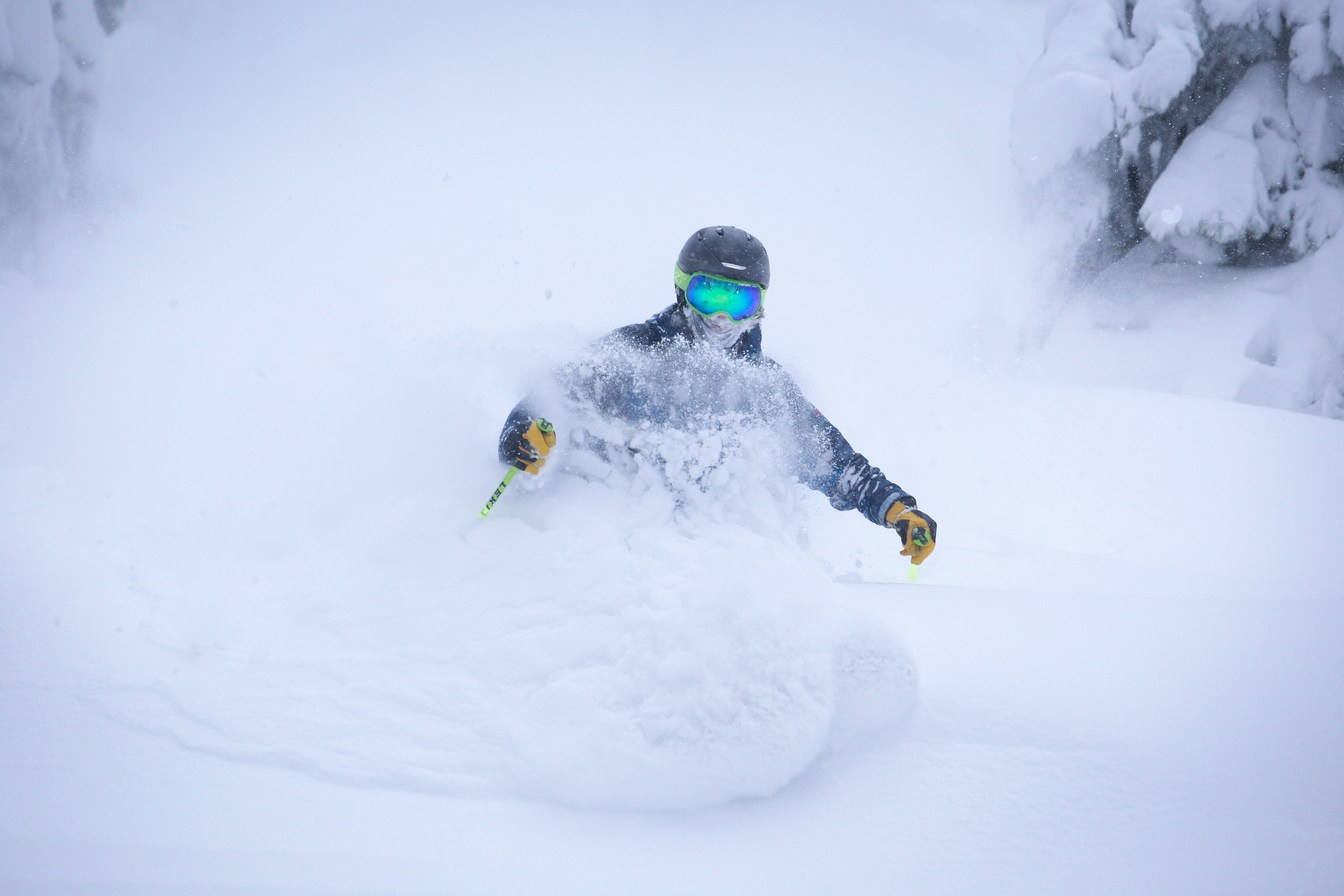 Spring Storm Face Shots