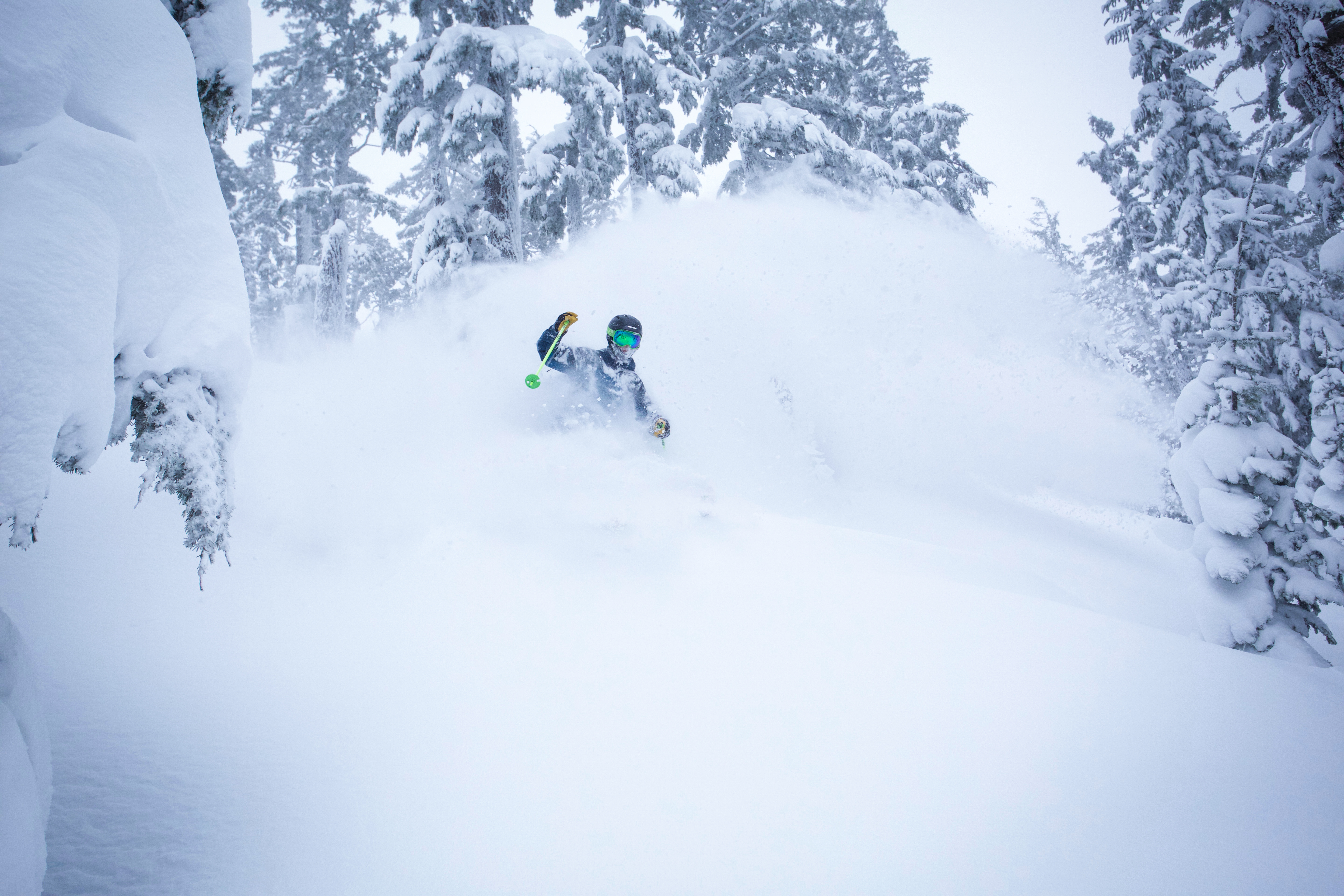 Spring Storm Madness