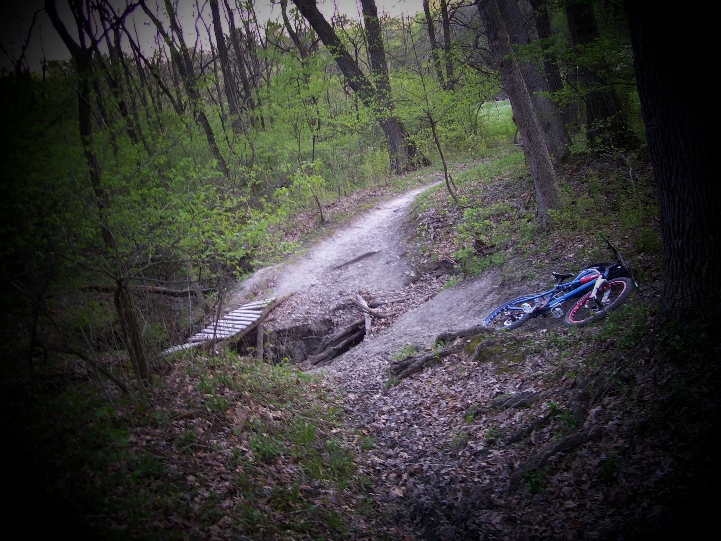 Spring time in chi-town