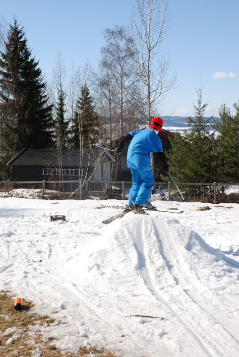Springbreak backyard railing