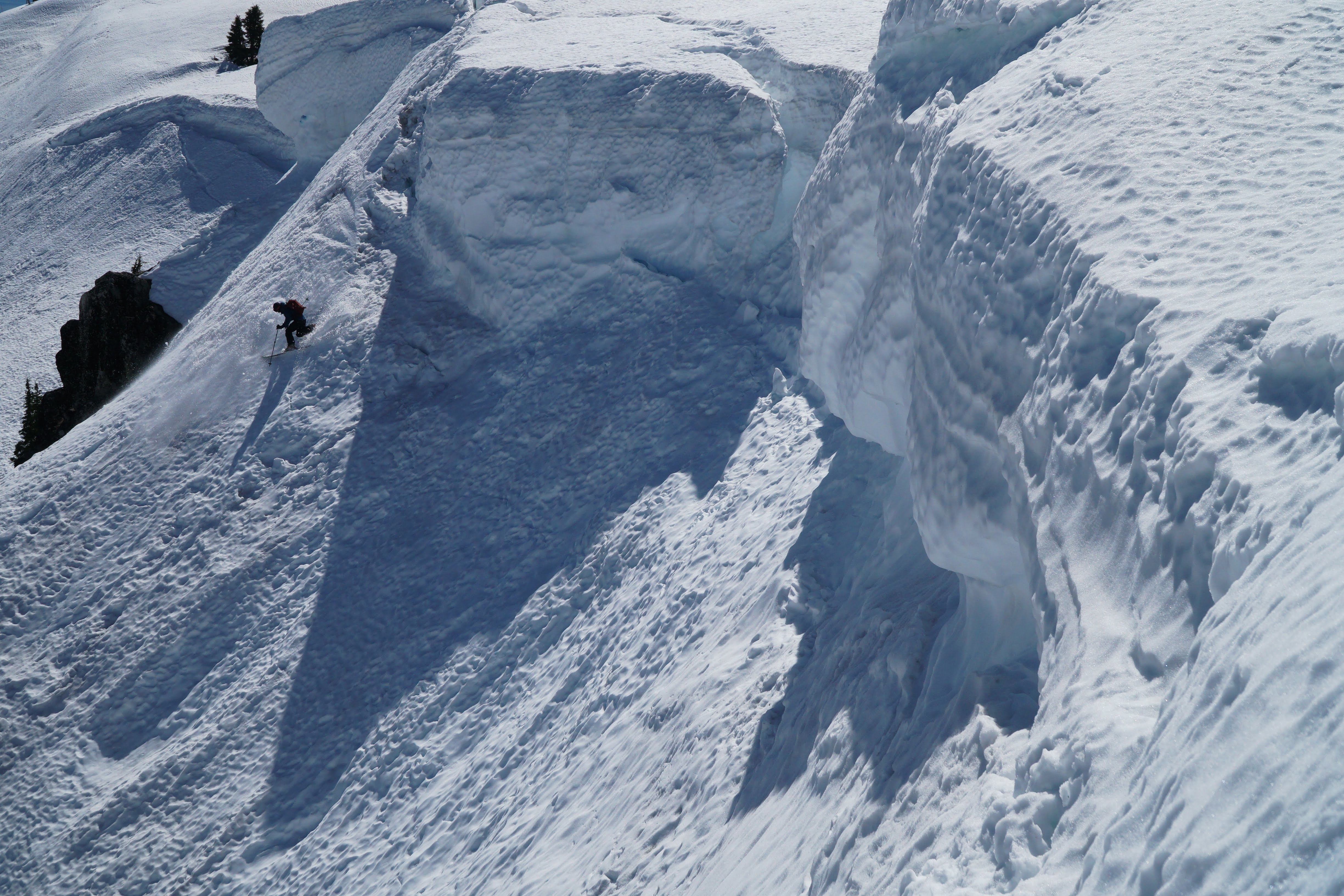 Springtime Throwback