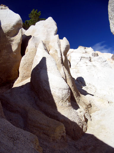 St Bathans goldrush workings