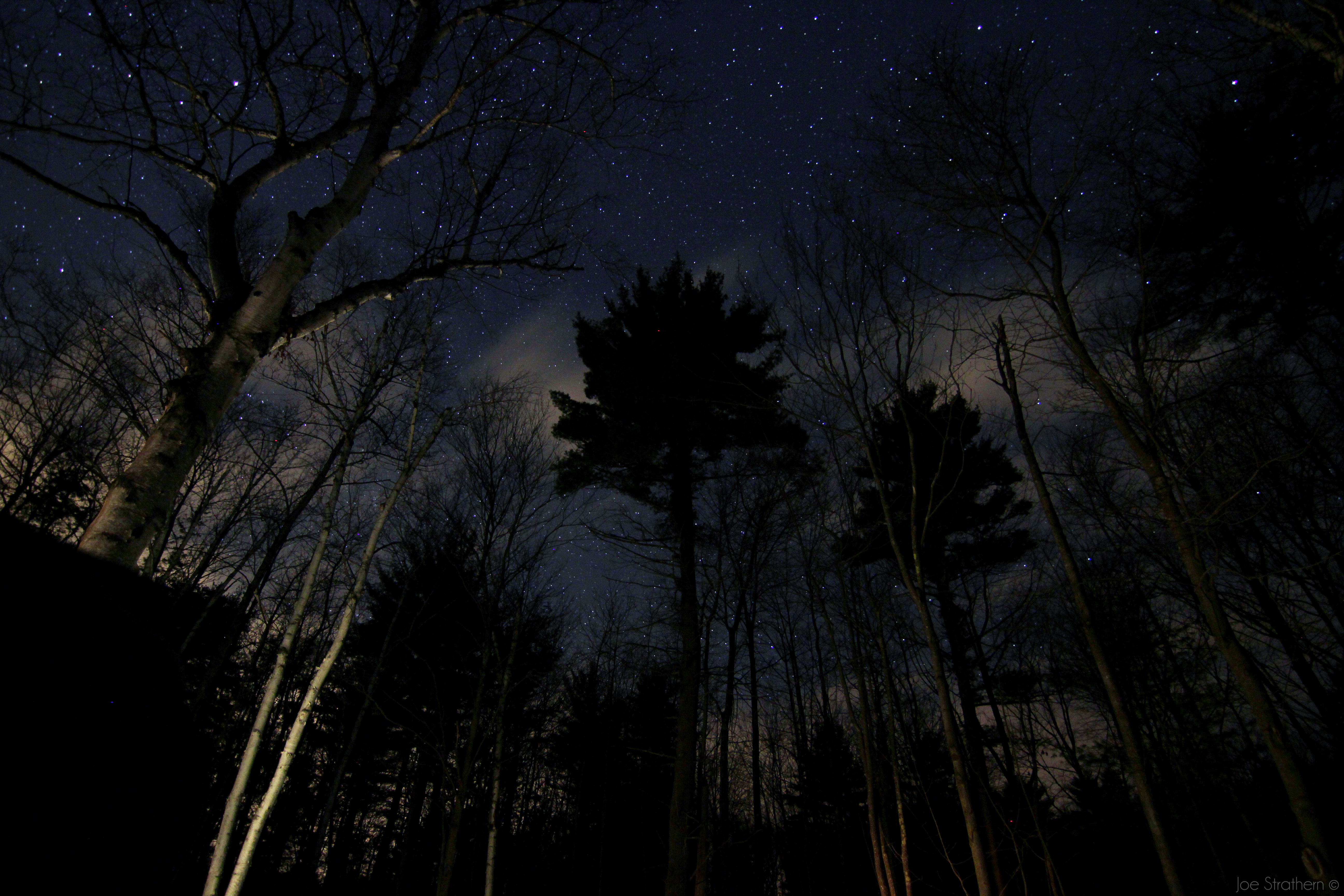 Stars in the Backyard