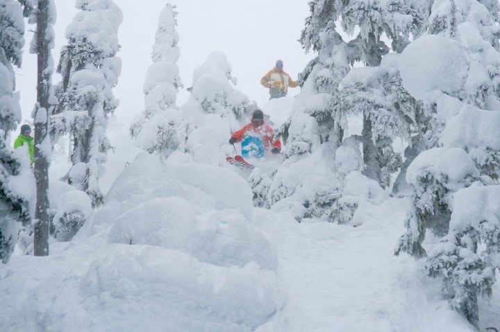 Start of some pillow line last year