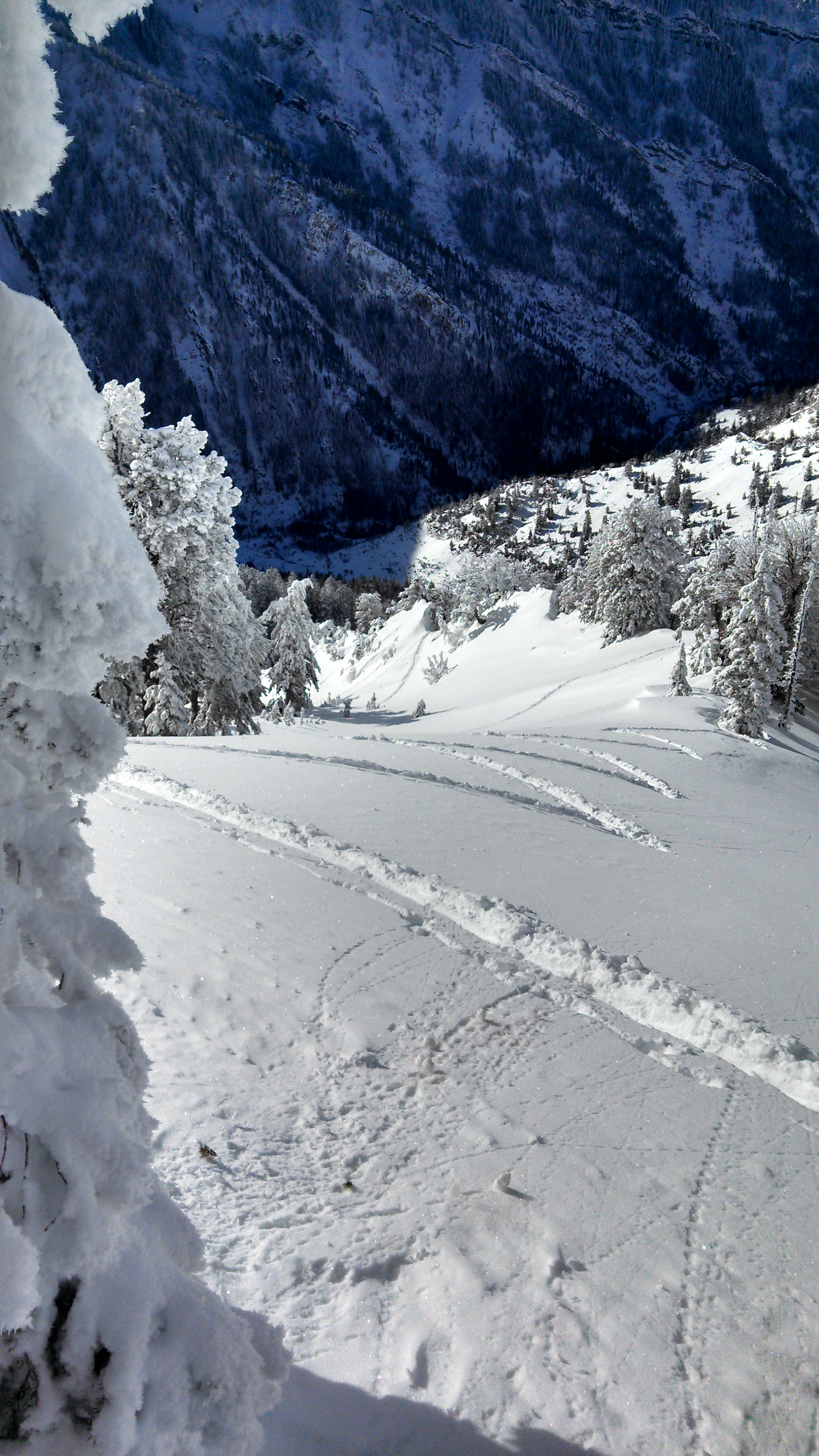 Started at the bottom...