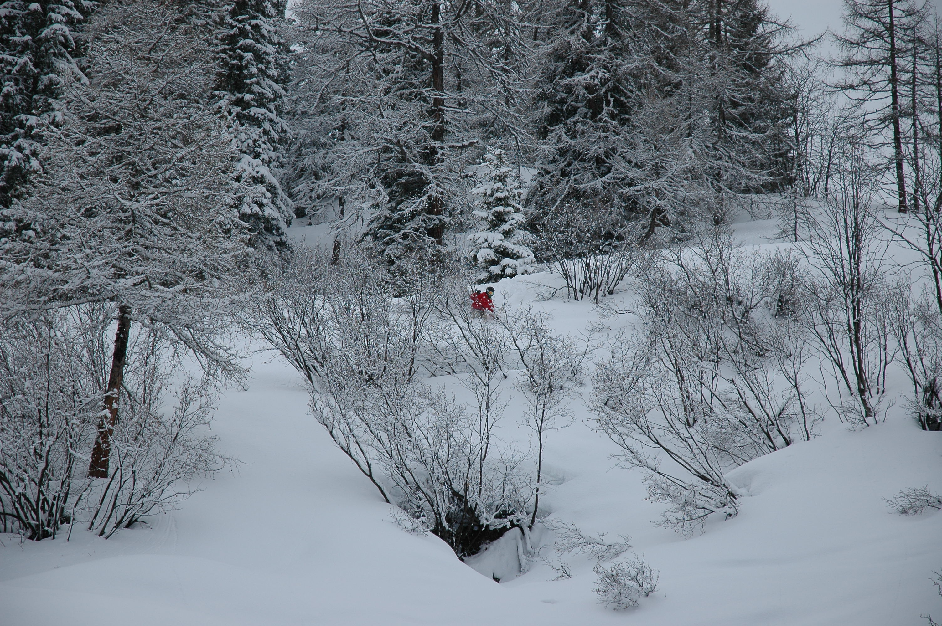 Starting a nice line