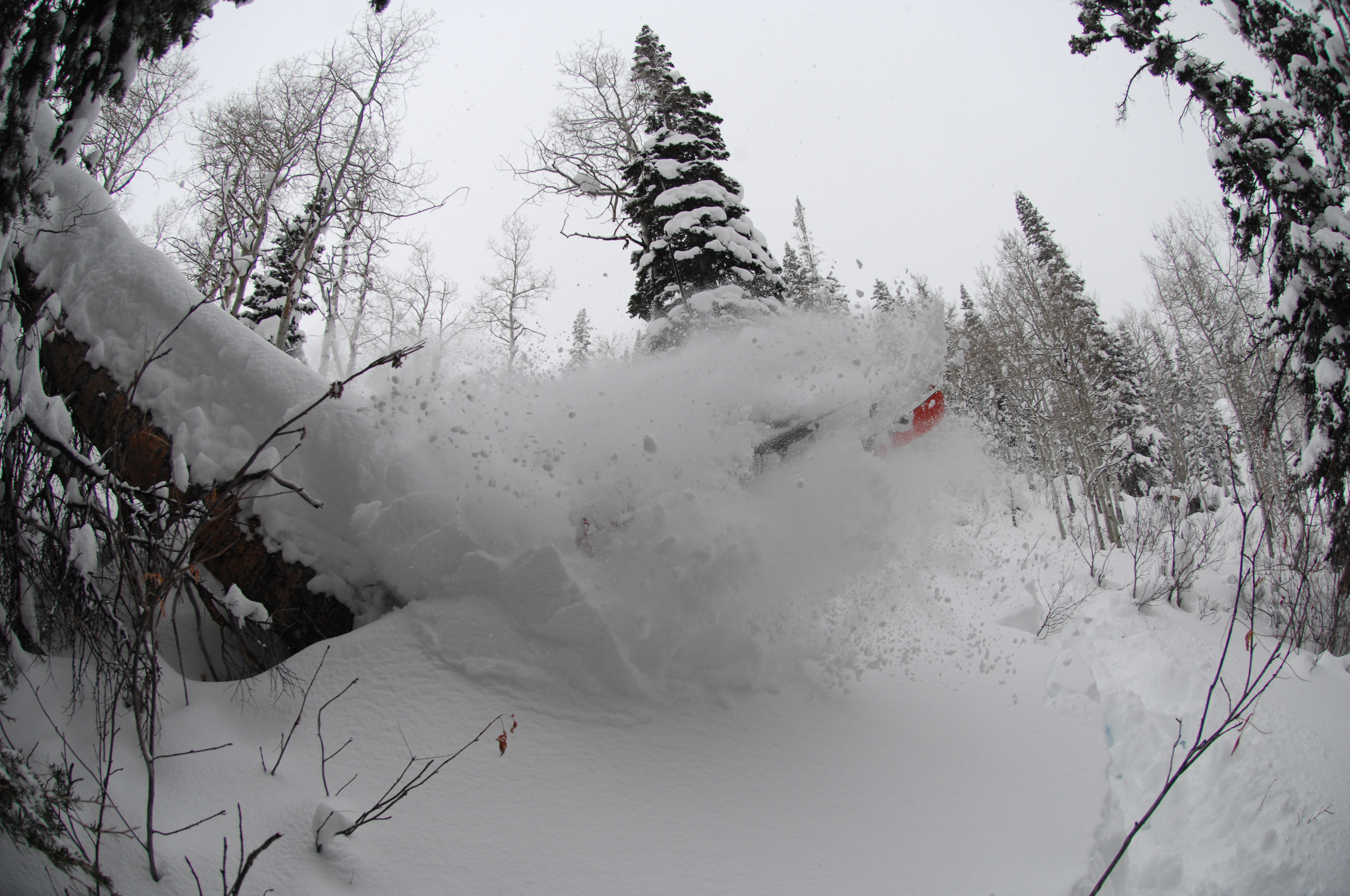 Steamboat Pow