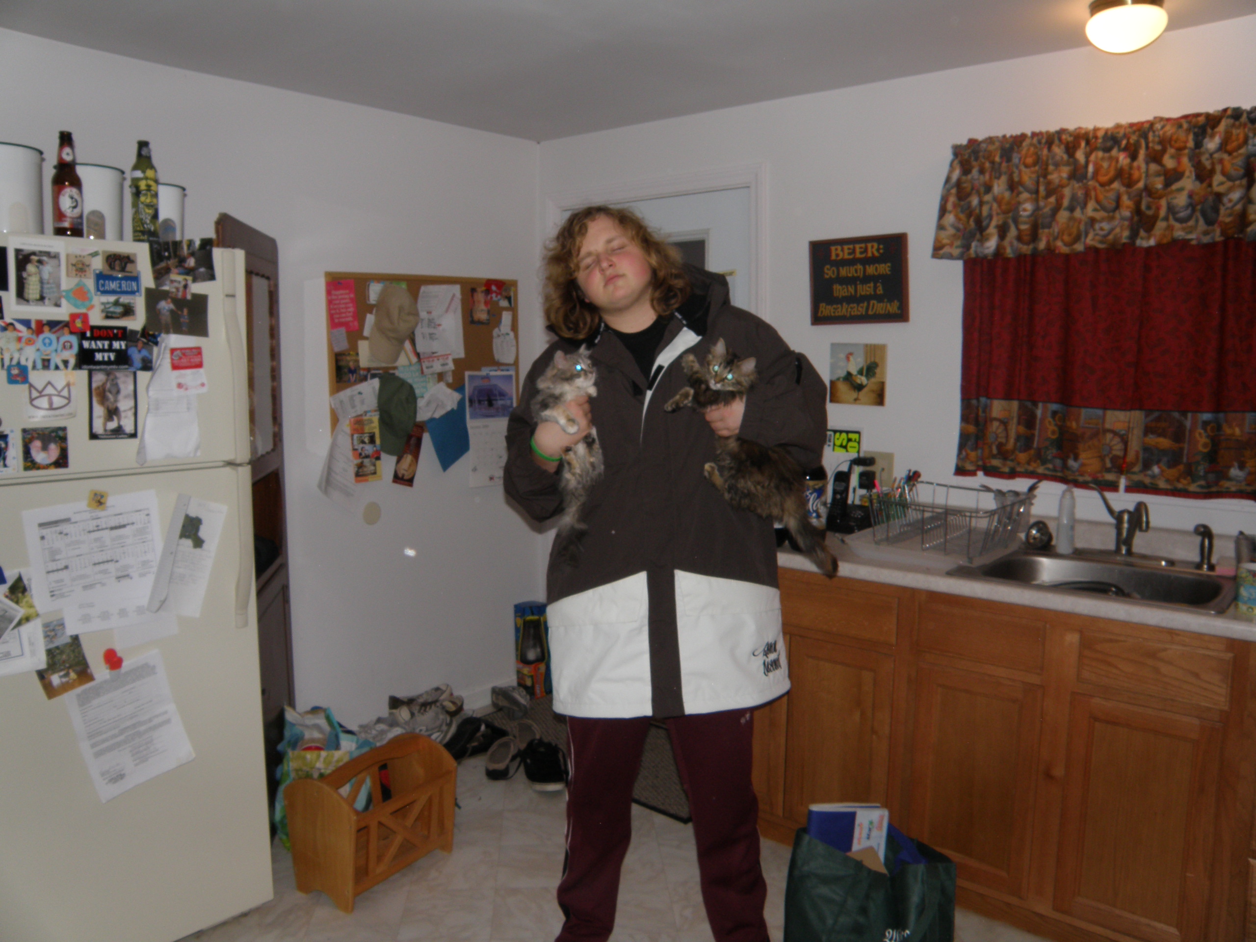 Steezey cats and jackets