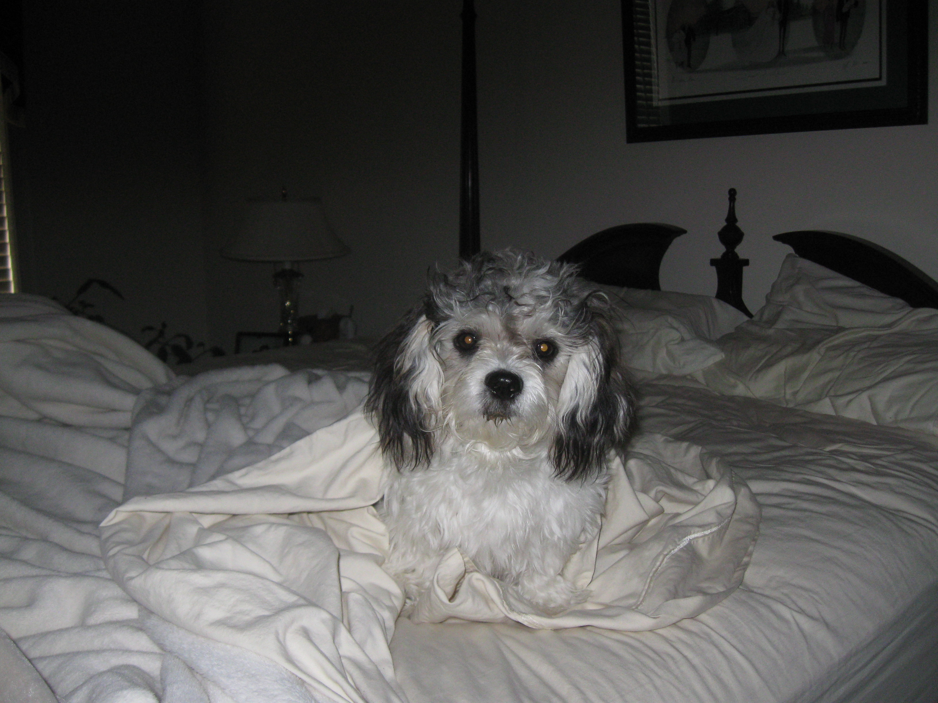 Steezin in my sheets