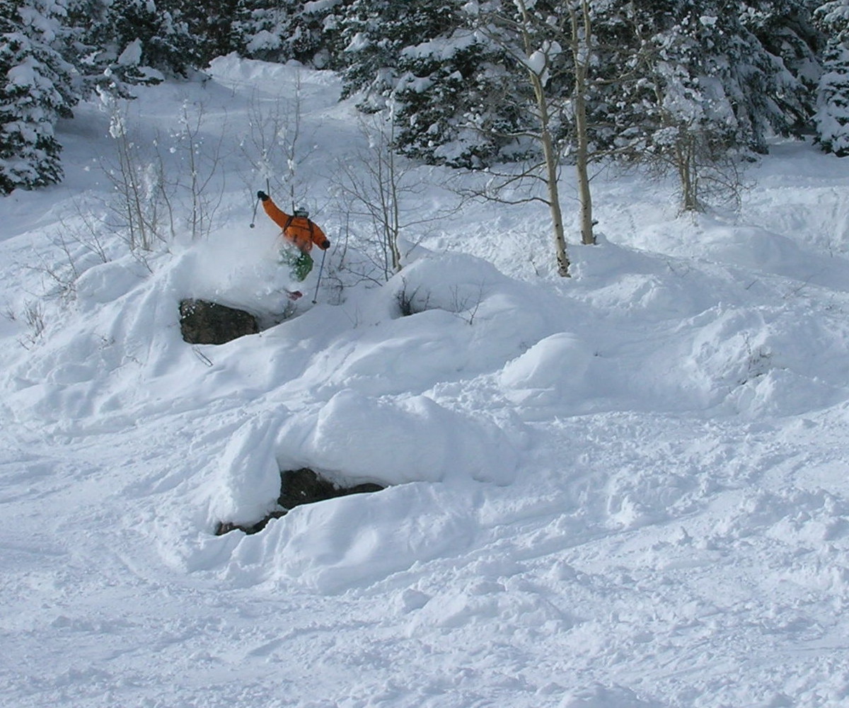 Step 1: ski blindly through skinny patch of branches.