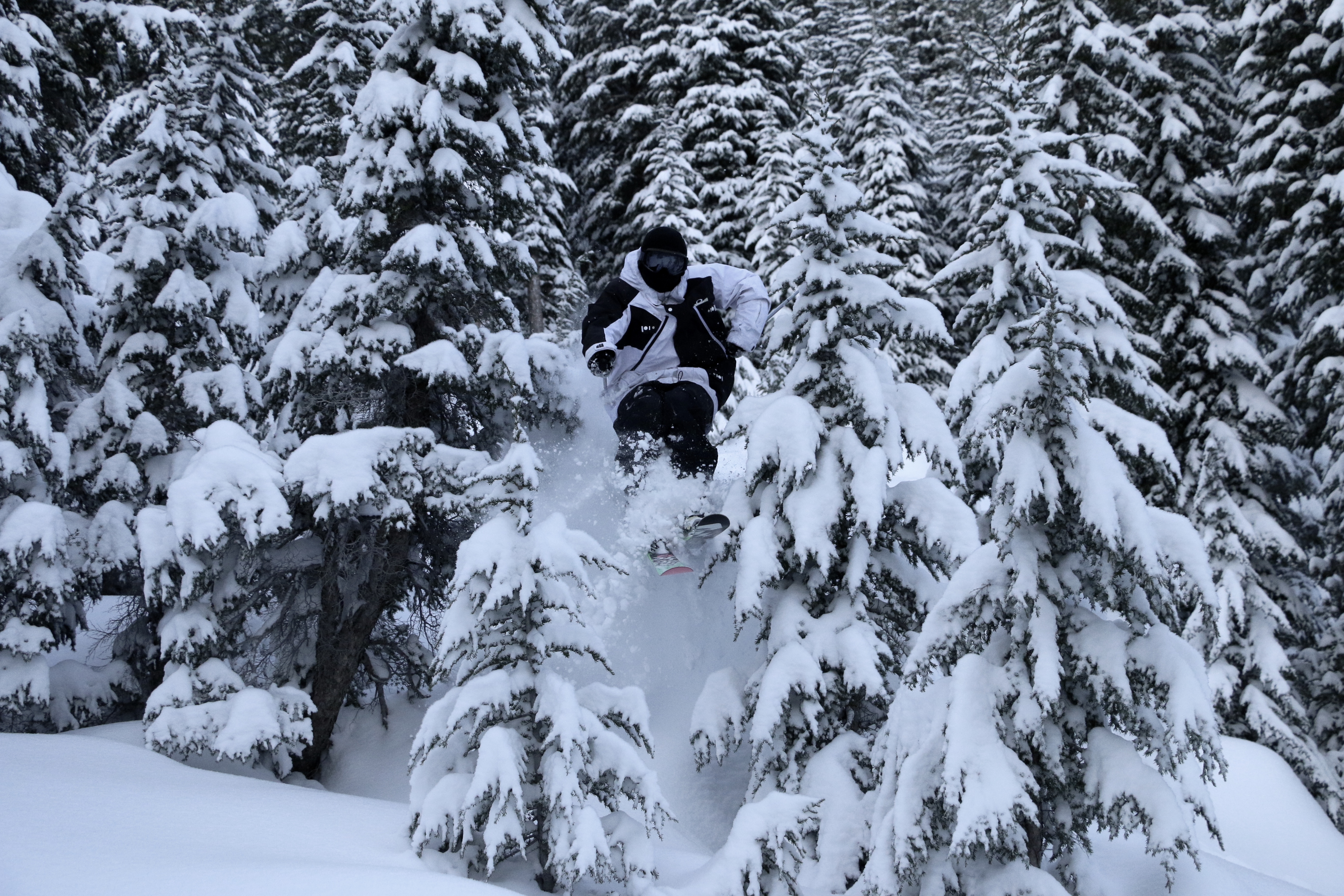 Steve Flying through trees