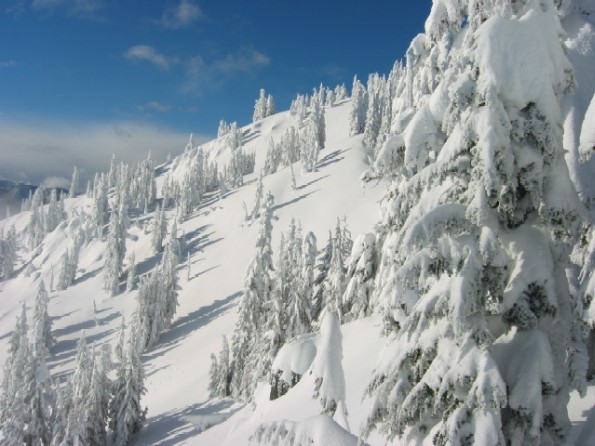Stevens Pass, BACK BOWL, Launcher Cliff