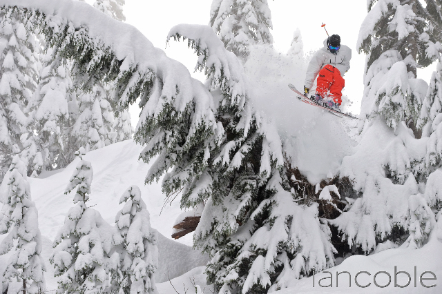 Stevens Pass Tree Pow