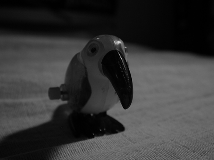 Still Life of a Wind-Up Tucan