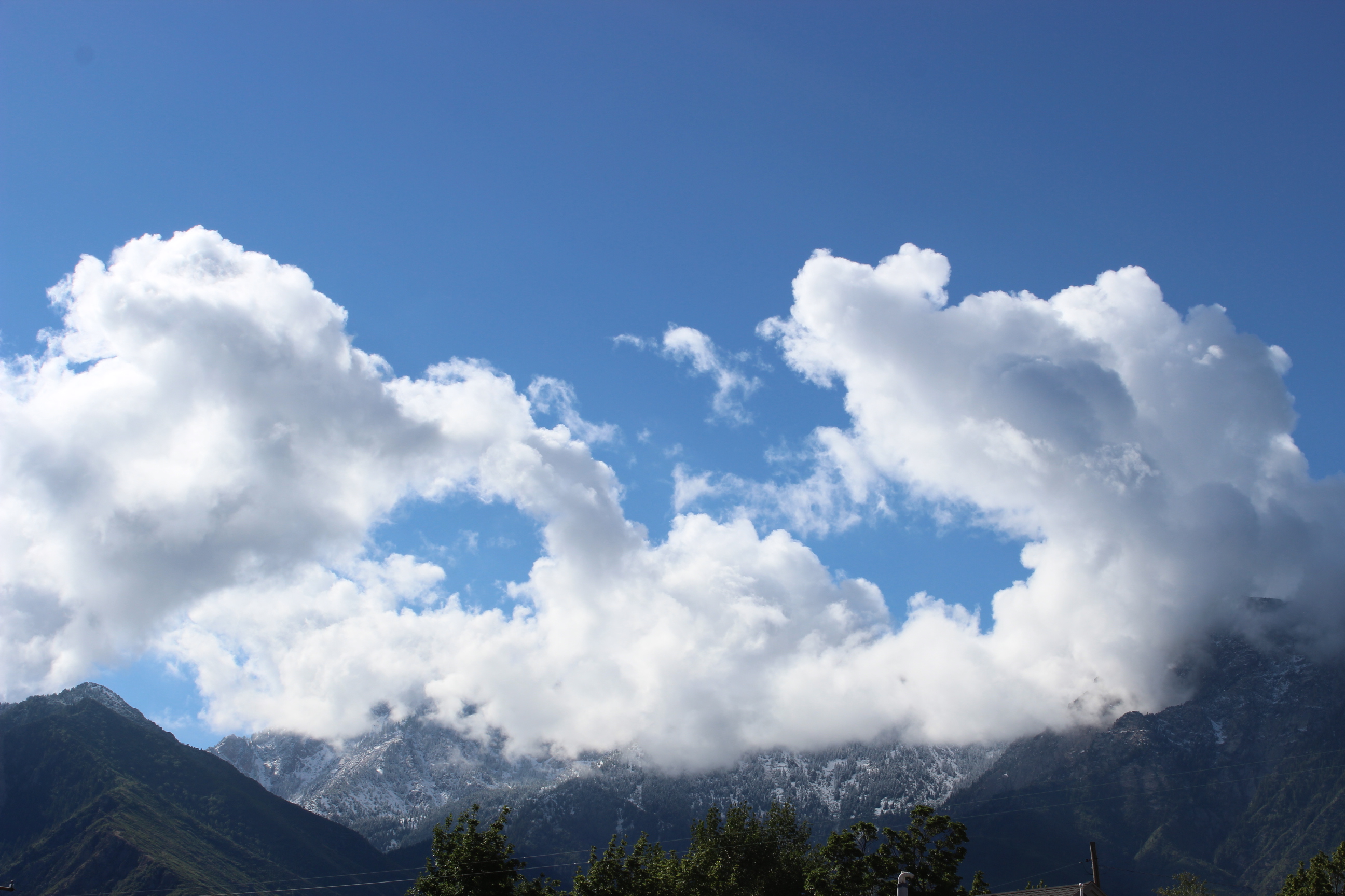 Still Snowing in Salt Lake!