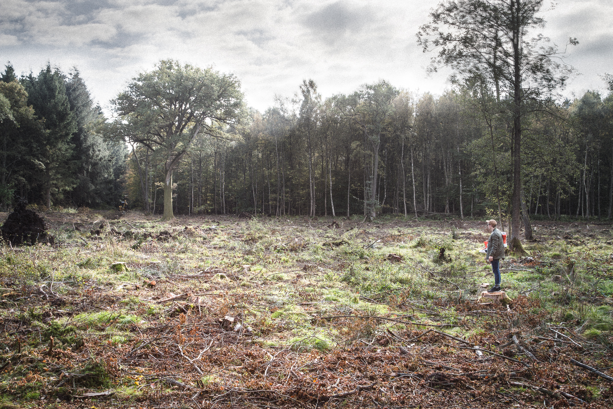 Still Waiting For The Snow