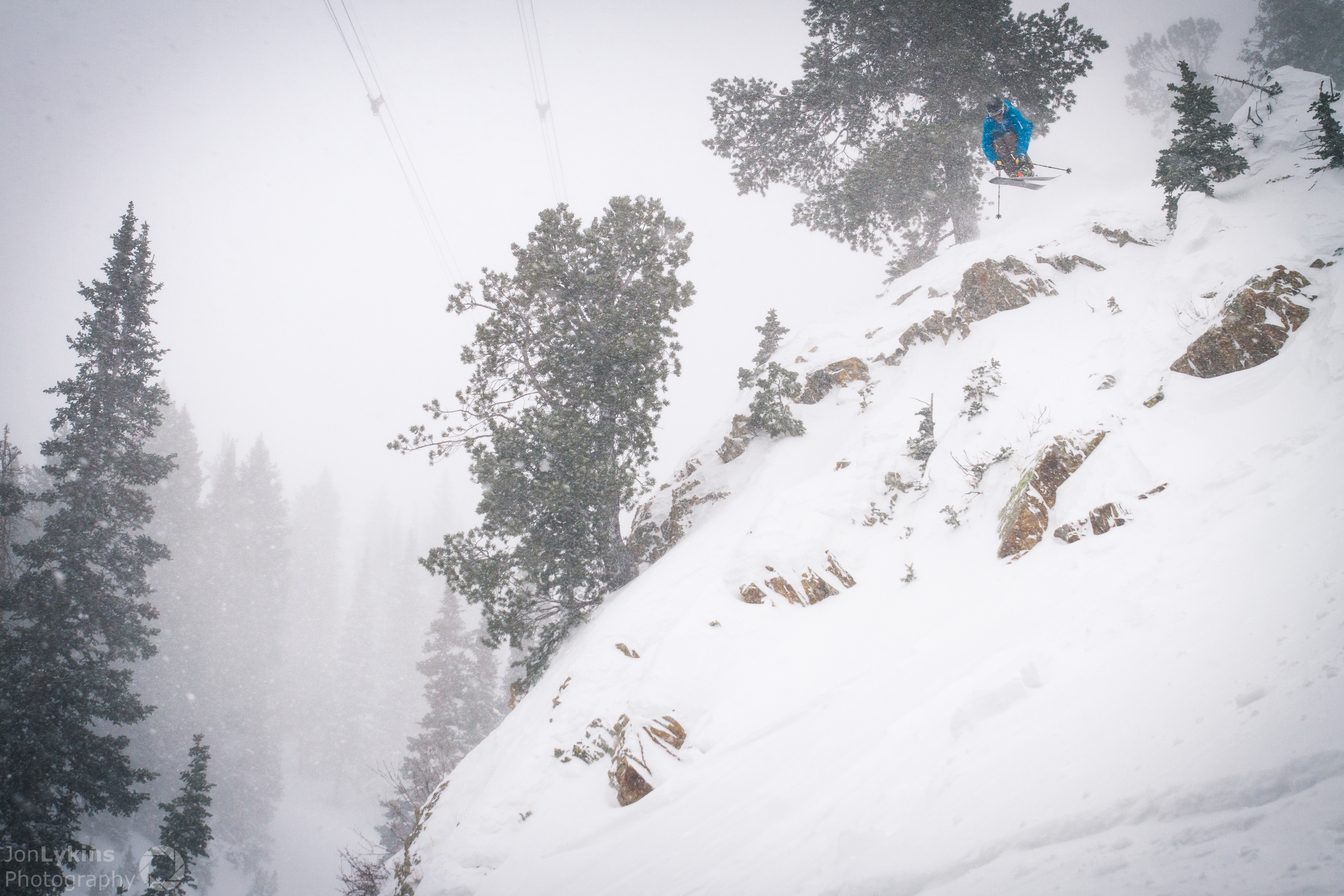 Storm Days at the Bird. 