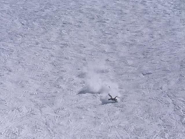 Straightline gone wrong