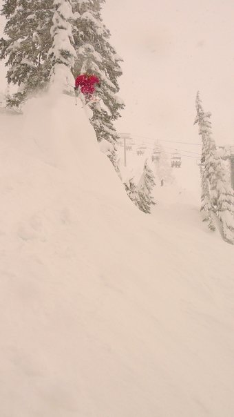 Strawberries Can Fly