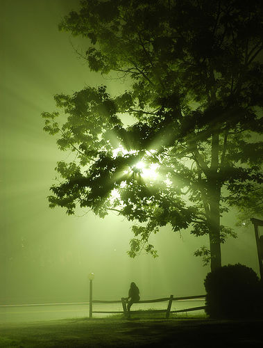 Street Lamp and Fog