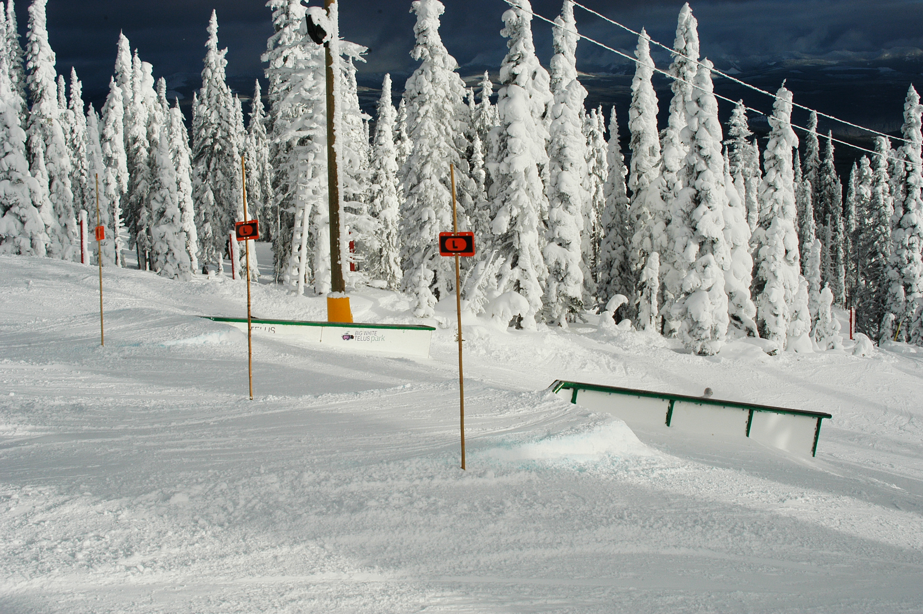 Street Style and Box