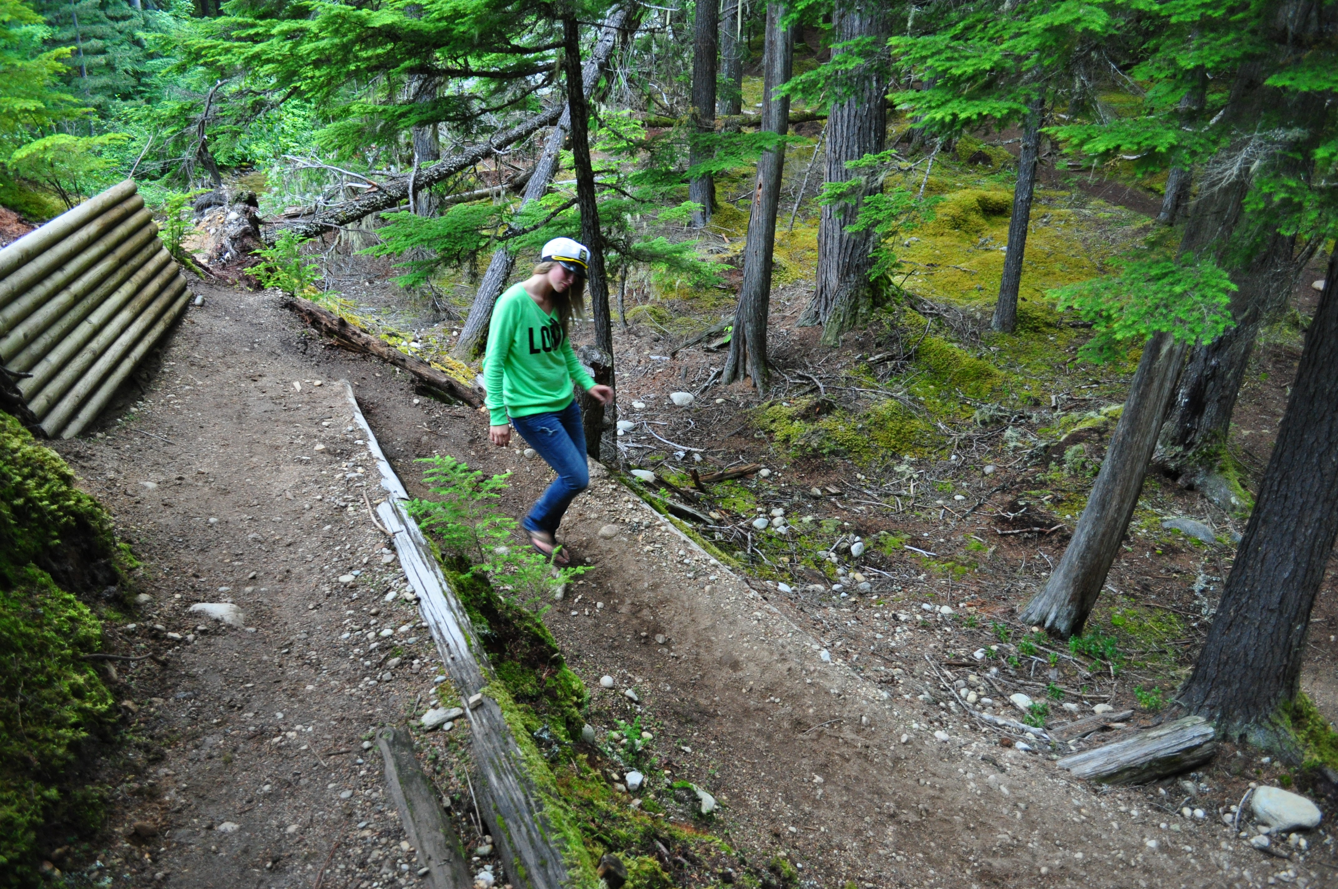 Strolling in the forest