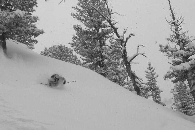 Suffering through a "shitty"  600'' year in Utah.