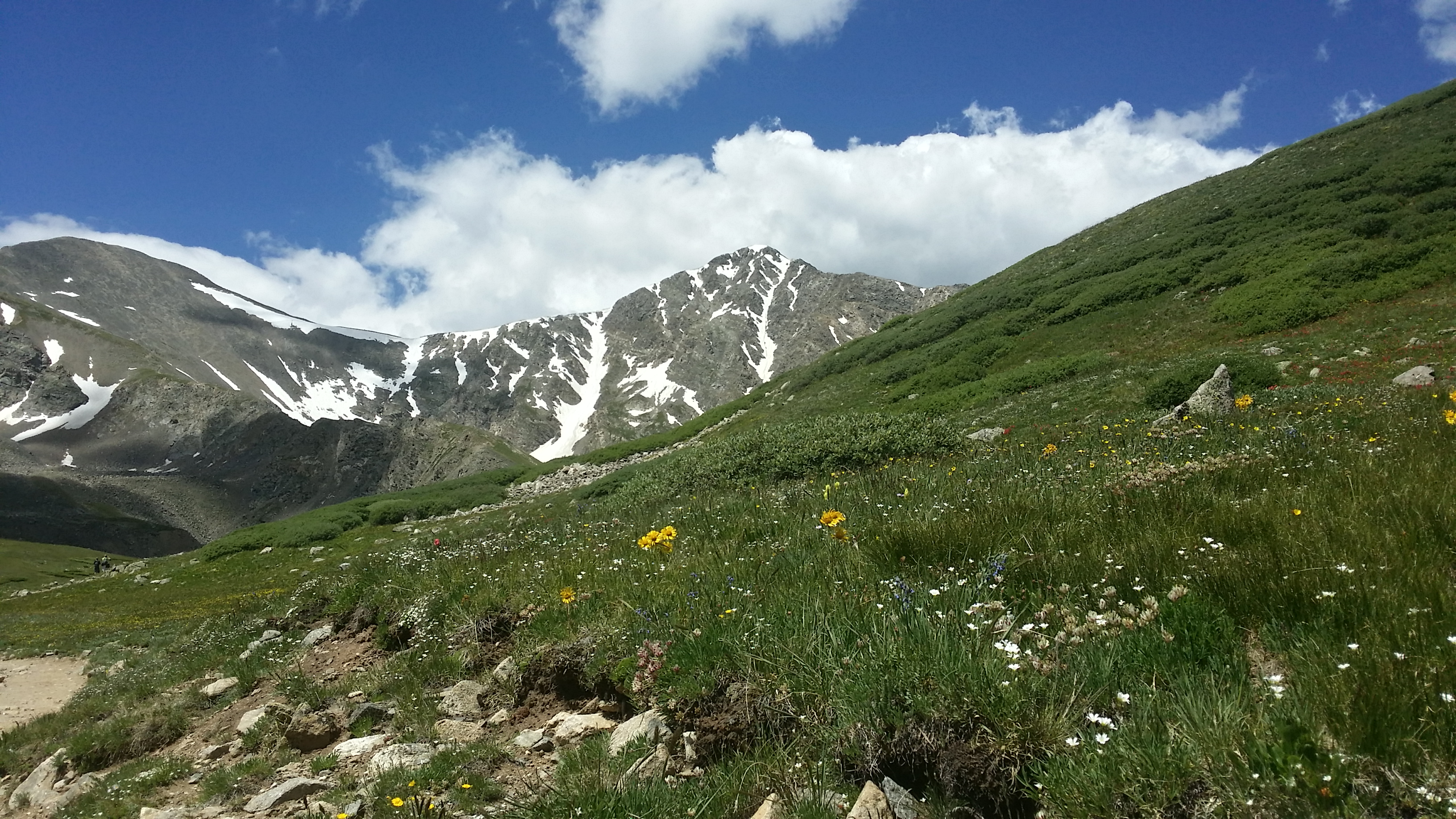 Summer at 14000 ft