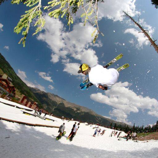 Summer Hike Park Tree Jib