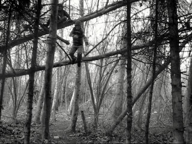 Summer jumping off 4 meter tree