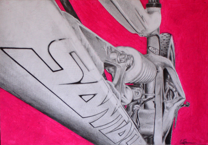 Summer Mt. Snow - Downhill Bike SC Bullit