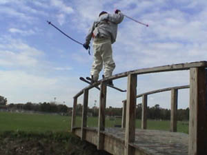 Summer rail today 10/12