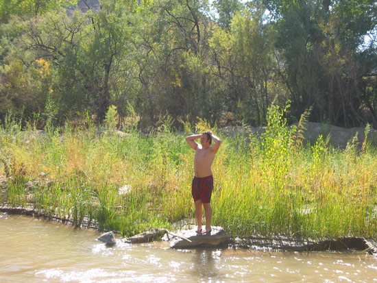 sunbathing on a rock