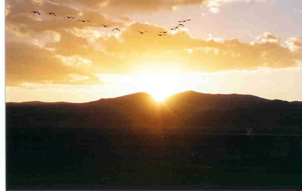 Sunset and some ducks