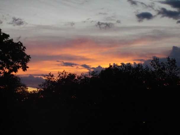 Sunset off my back patio. Don't go elbow deep within the borderline bitches