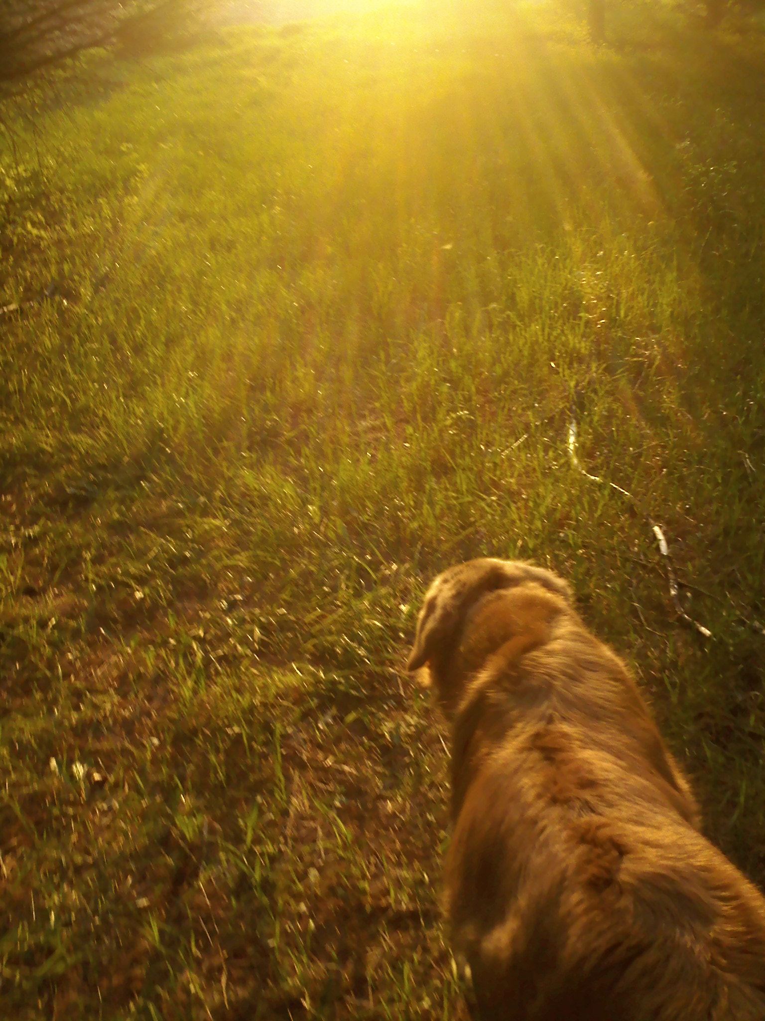 Sunset with my beast