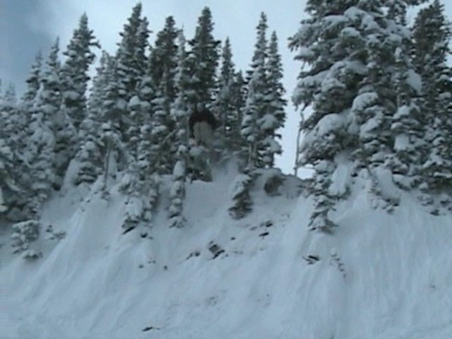 Sunshine donkey tail