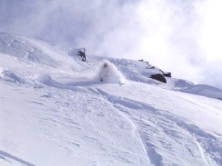 super nice freshies...face shots on