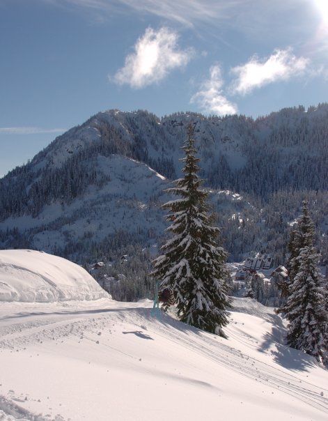 Superman out of the park