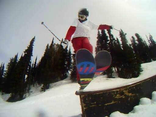 Surface Skis