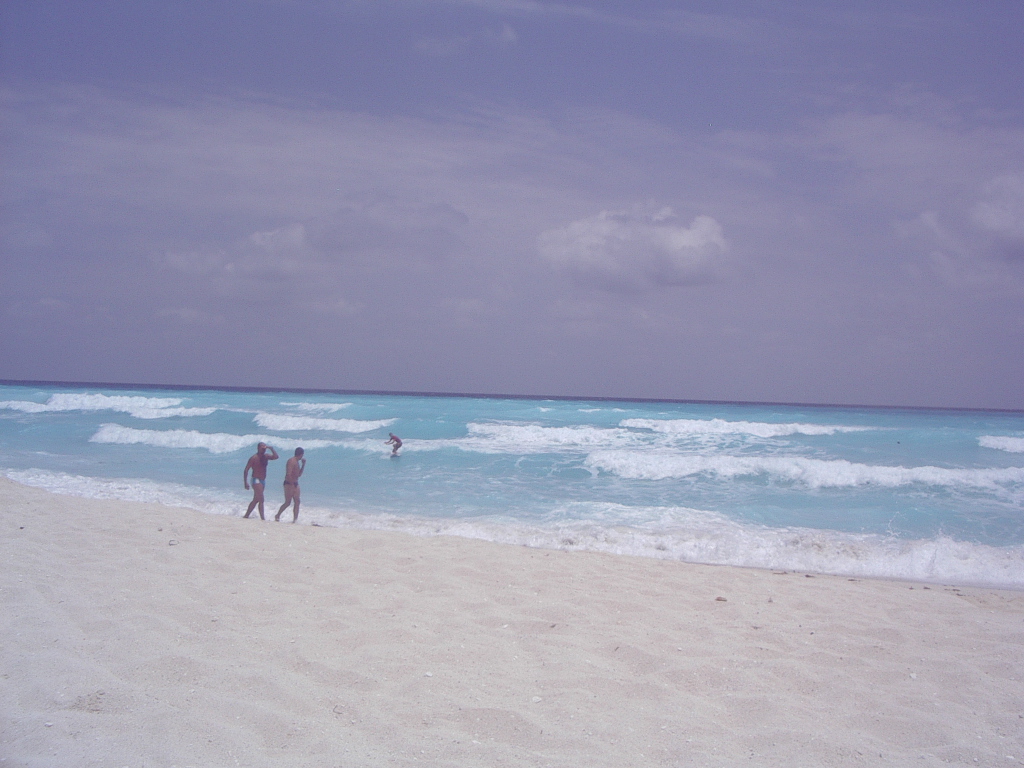 Surfin' Tortolla