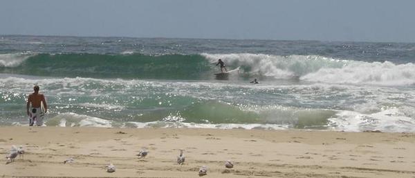 Surfing in Australia