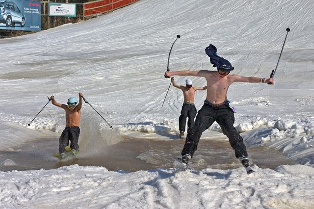 surfing with my whigas