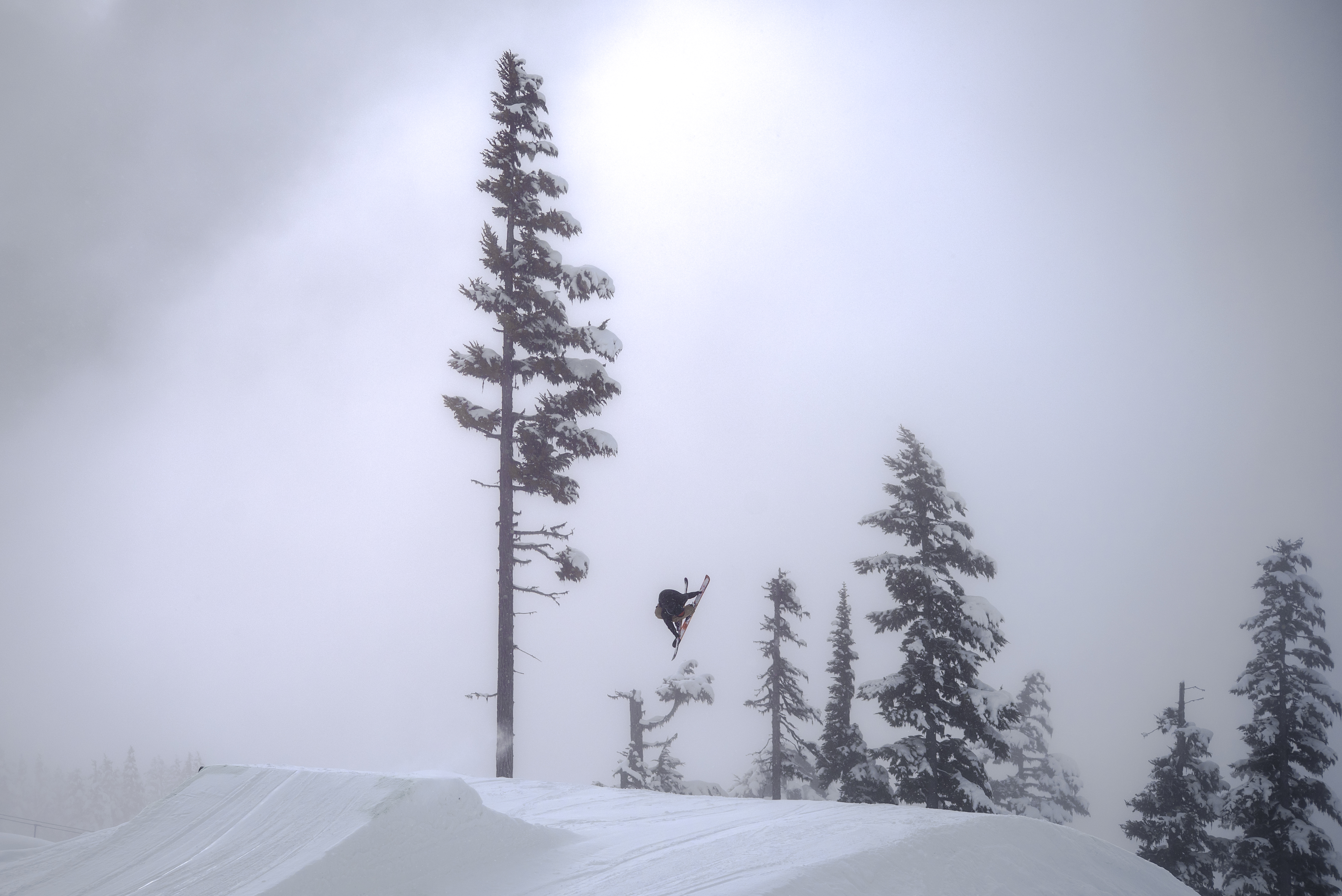 Sw 7 Octo on a Foggy Day