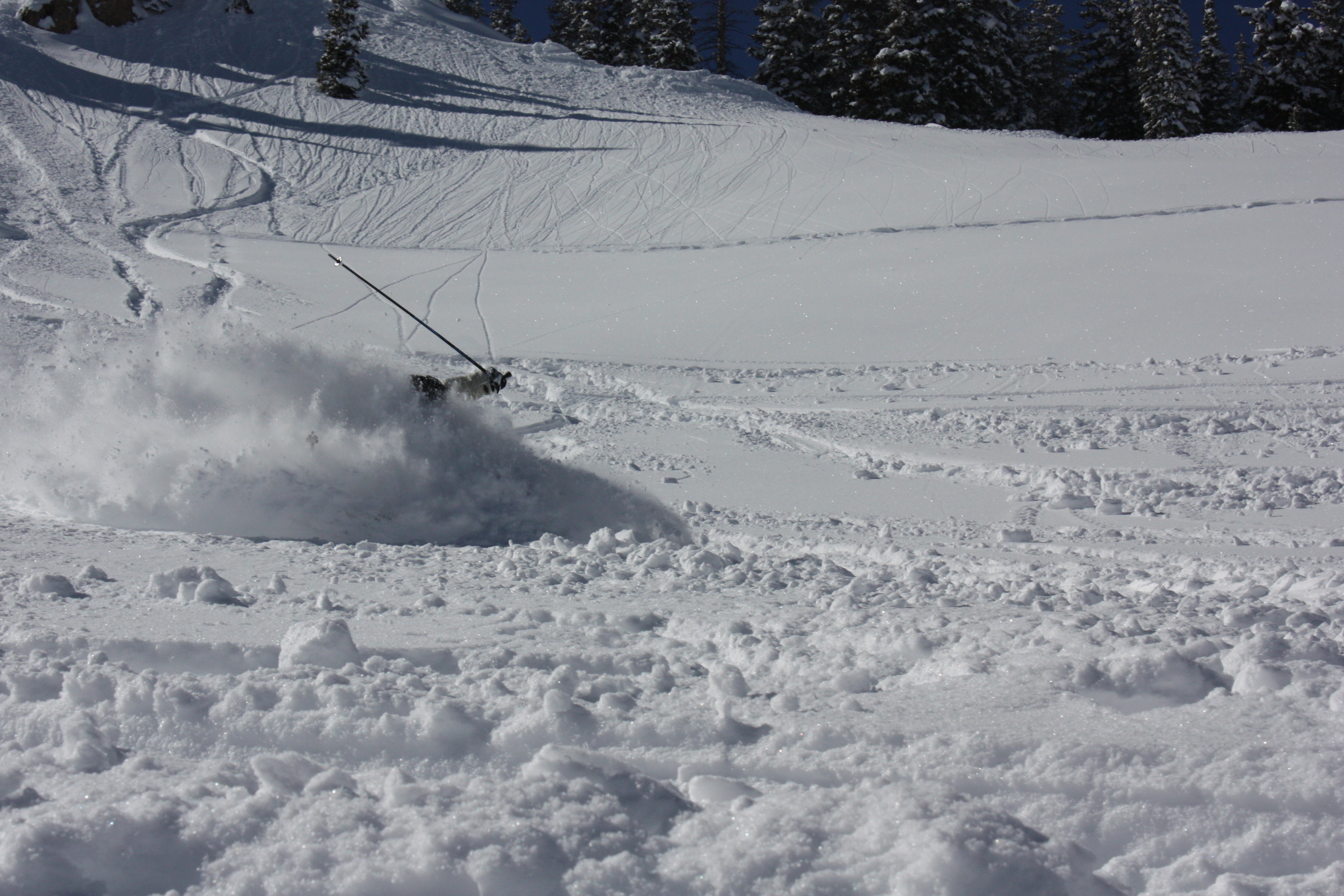 Sw pow