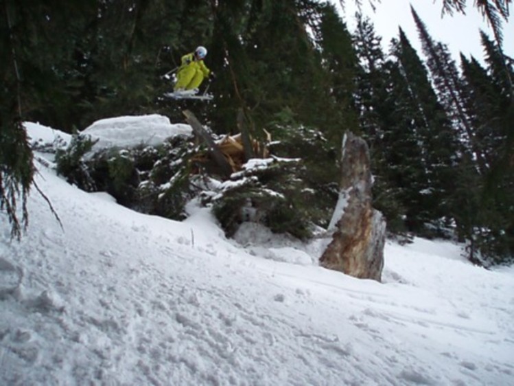 Sweet drop in cedar bowl